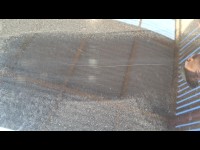 Condition Image