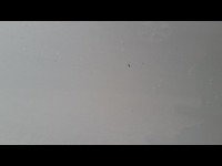 Condition Image