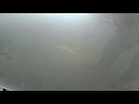 Condition Image