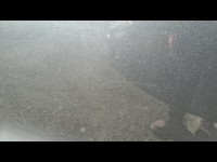 Condition Image
